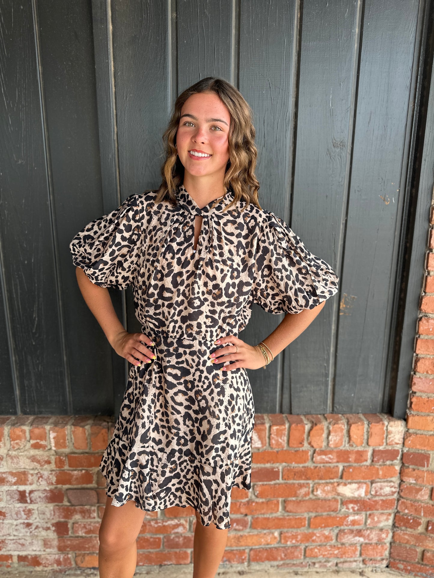 Puff Sleeve Cheetah Print Dress