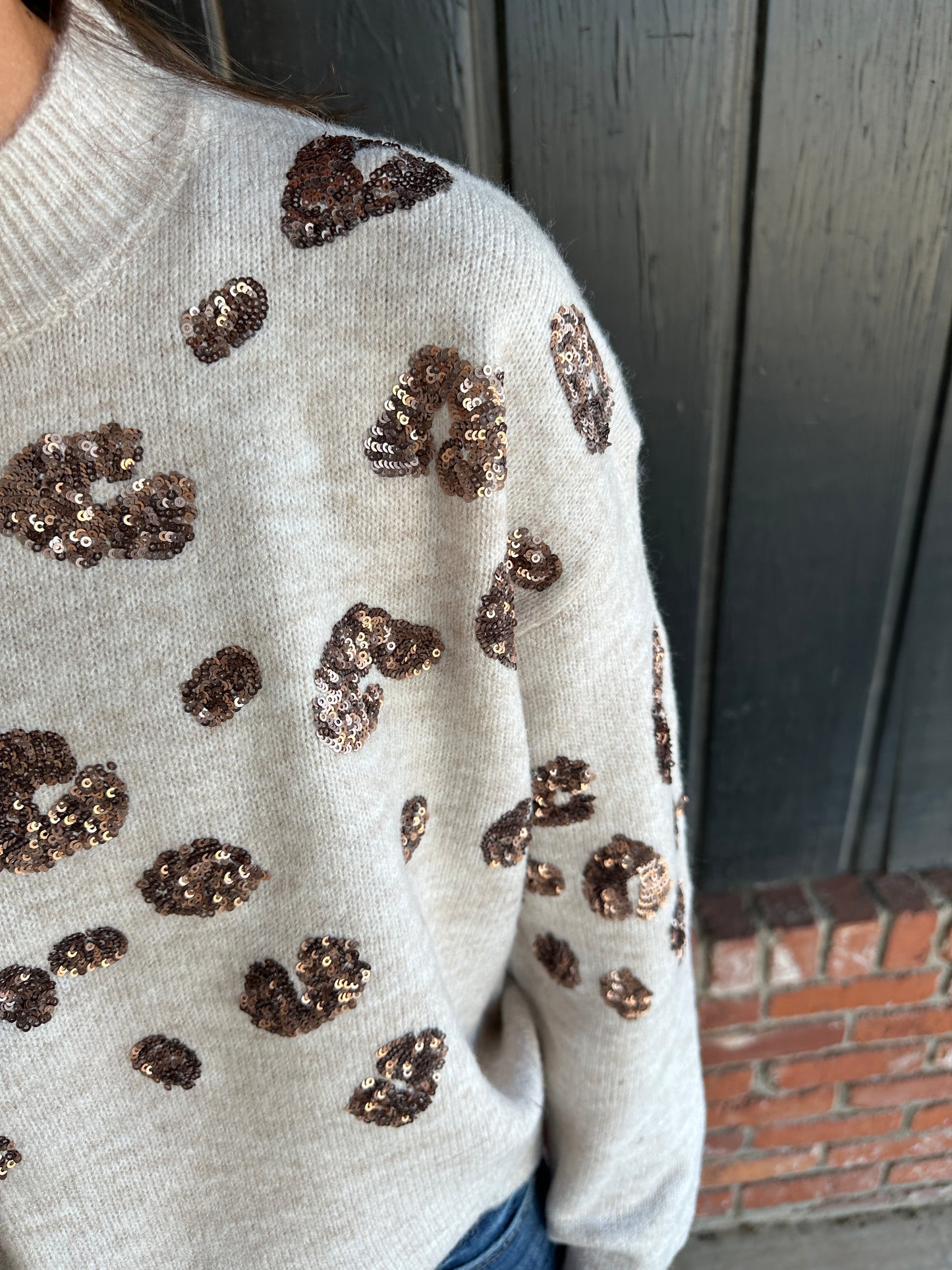 Cheetah Sequin Detail Sweater