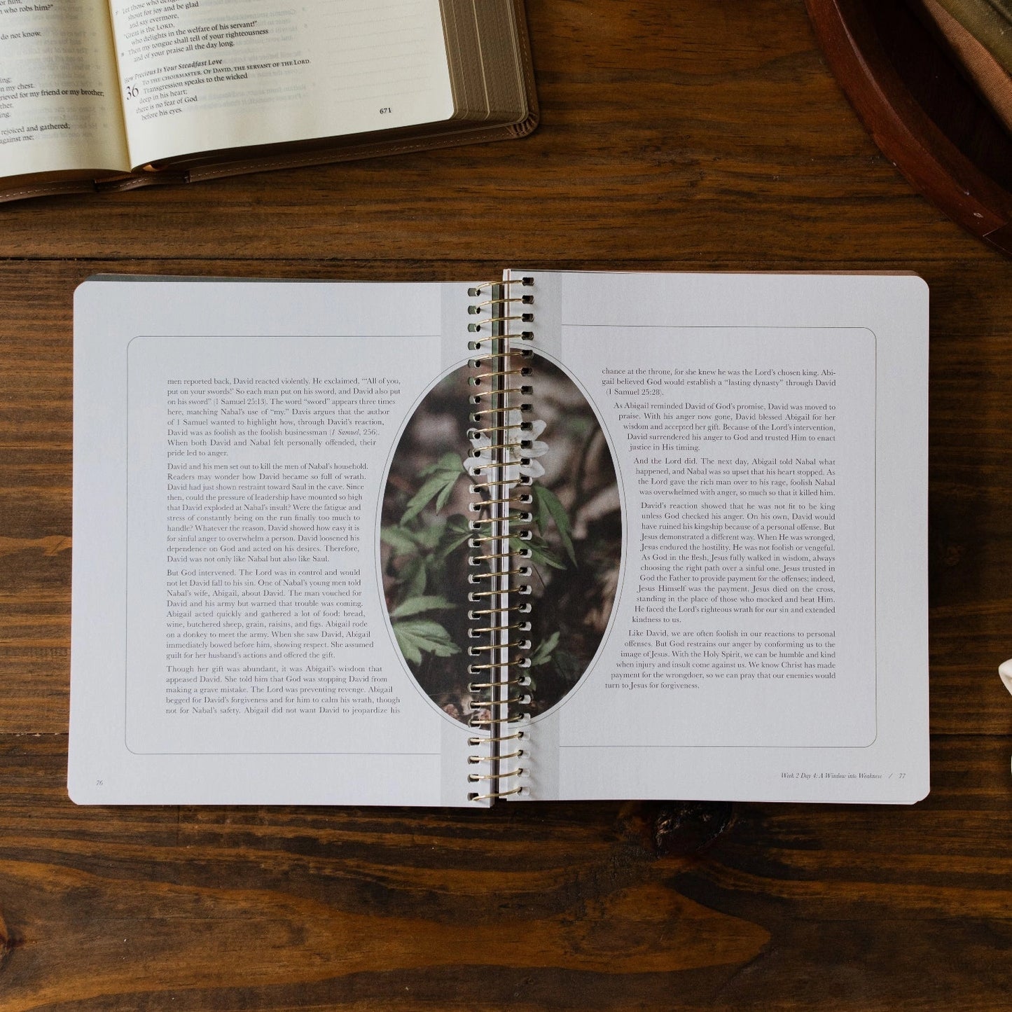 To Look To Christ in Life's Highs and Lows | A Study On the Life of David