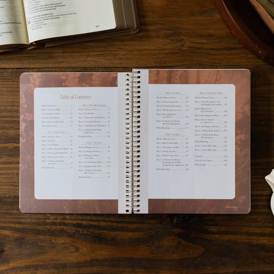 To Look To Christ in Life's Highs and Lows | A Study On the Life of David