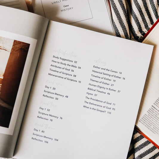 Esther - seeing God when he is silent