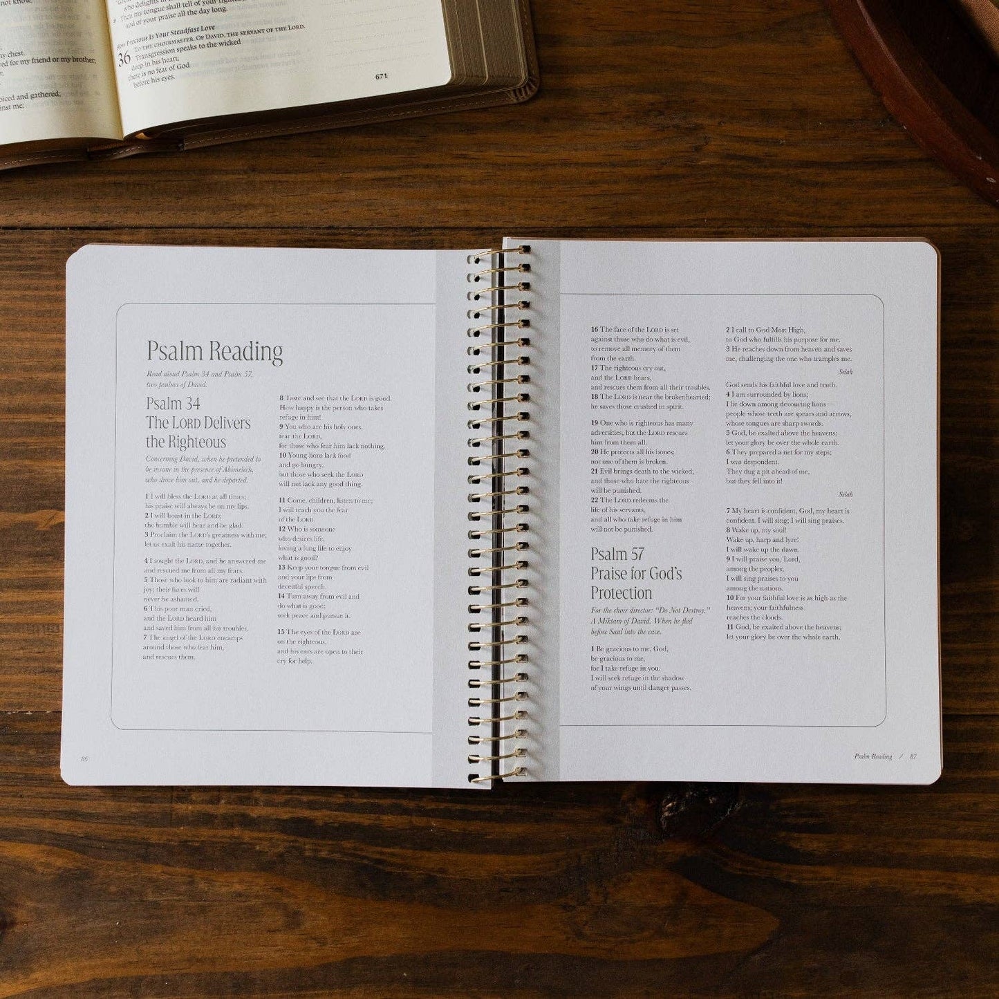 Peaks and Valleys: Learning to Look to Christ in Life's Highs and Lows | A Study on the Life of David