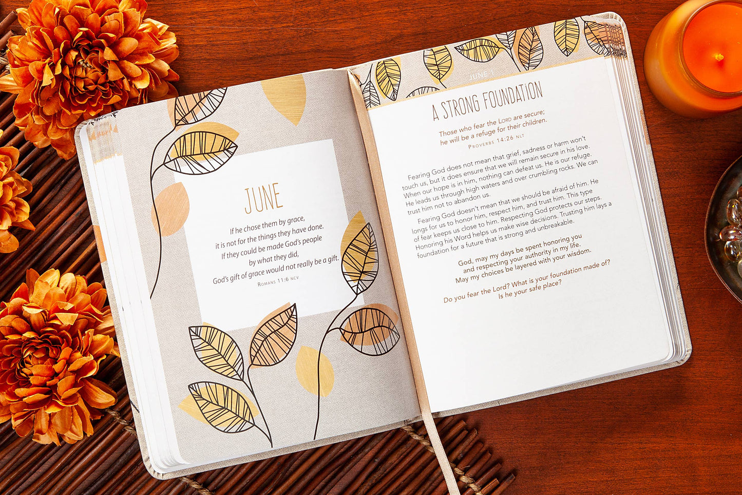 For I Know the Plans Daily Devo Book