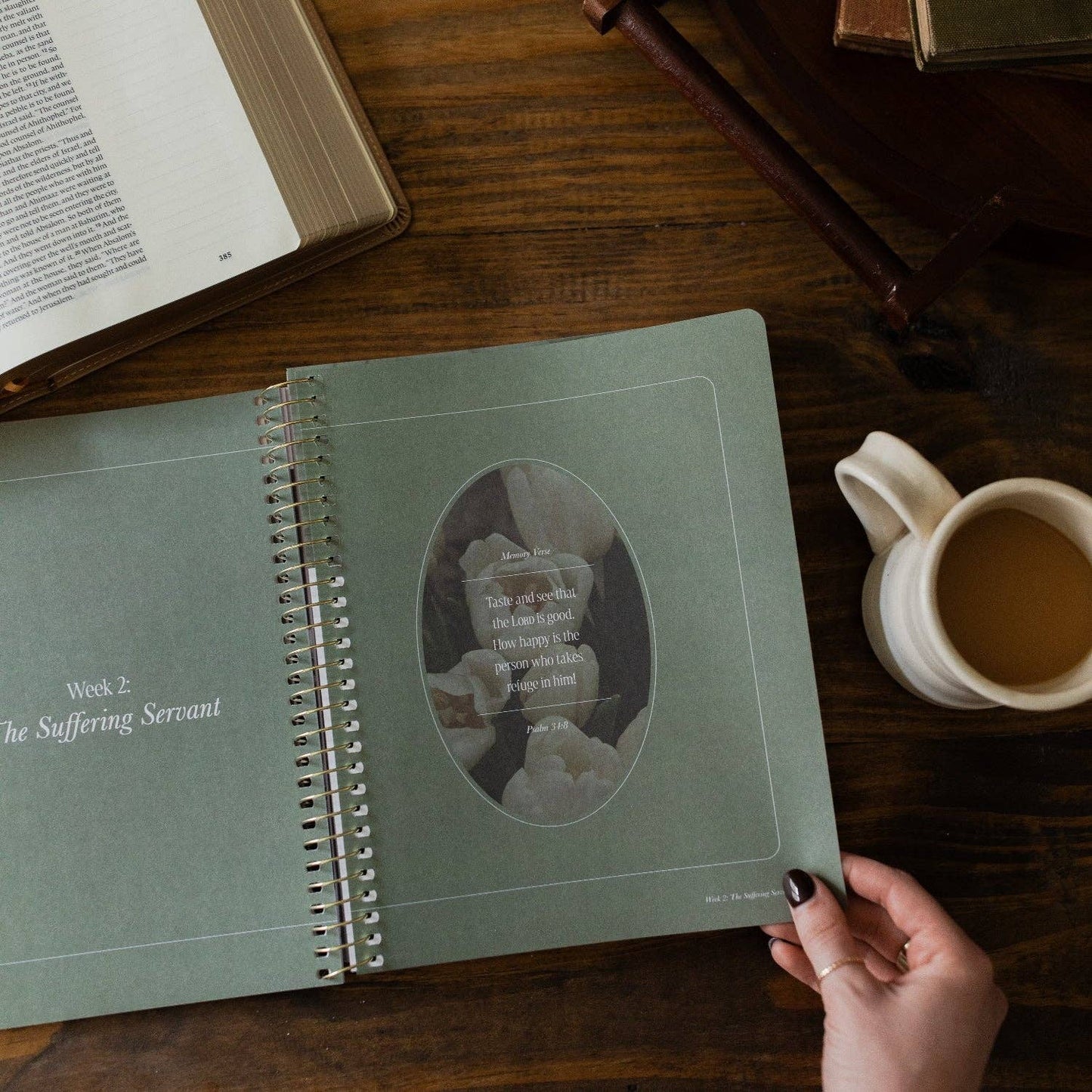 Peaks and Valleys: Learning to Look to Christ in Life's Highs and Lows | A Study on the Life of David