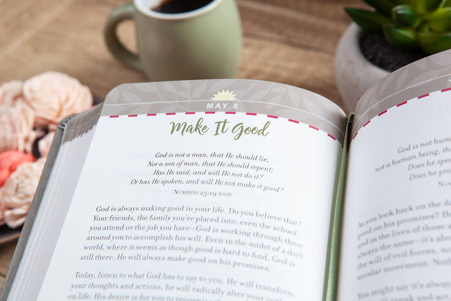 For I Know the Plans Devotional Book