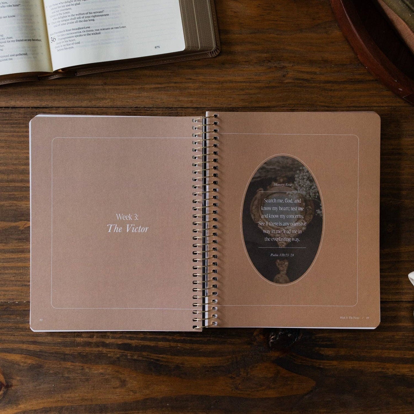 Peaks and Valleys: Learning to Look to Christ in Life's Highs and Lows | A Study on the Life of David