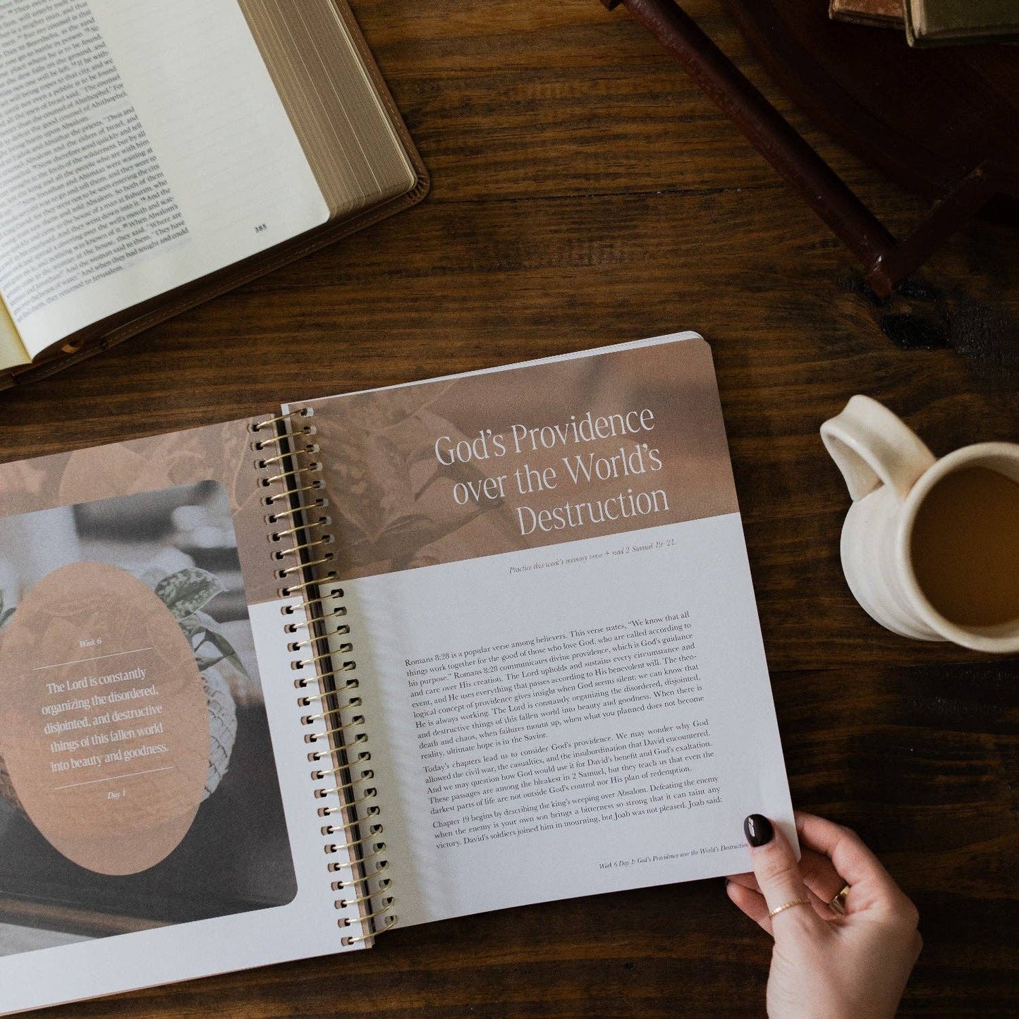 Peaks and Valleys: Learning to Look to Christ in Life's Highs and Lows | A Study on the Life of David