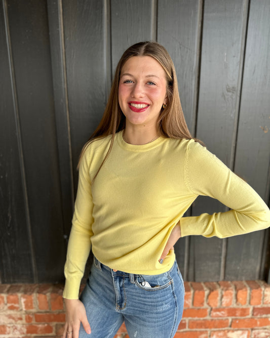 Light Yellow Basic Crew Neck Soft Knit Sweater