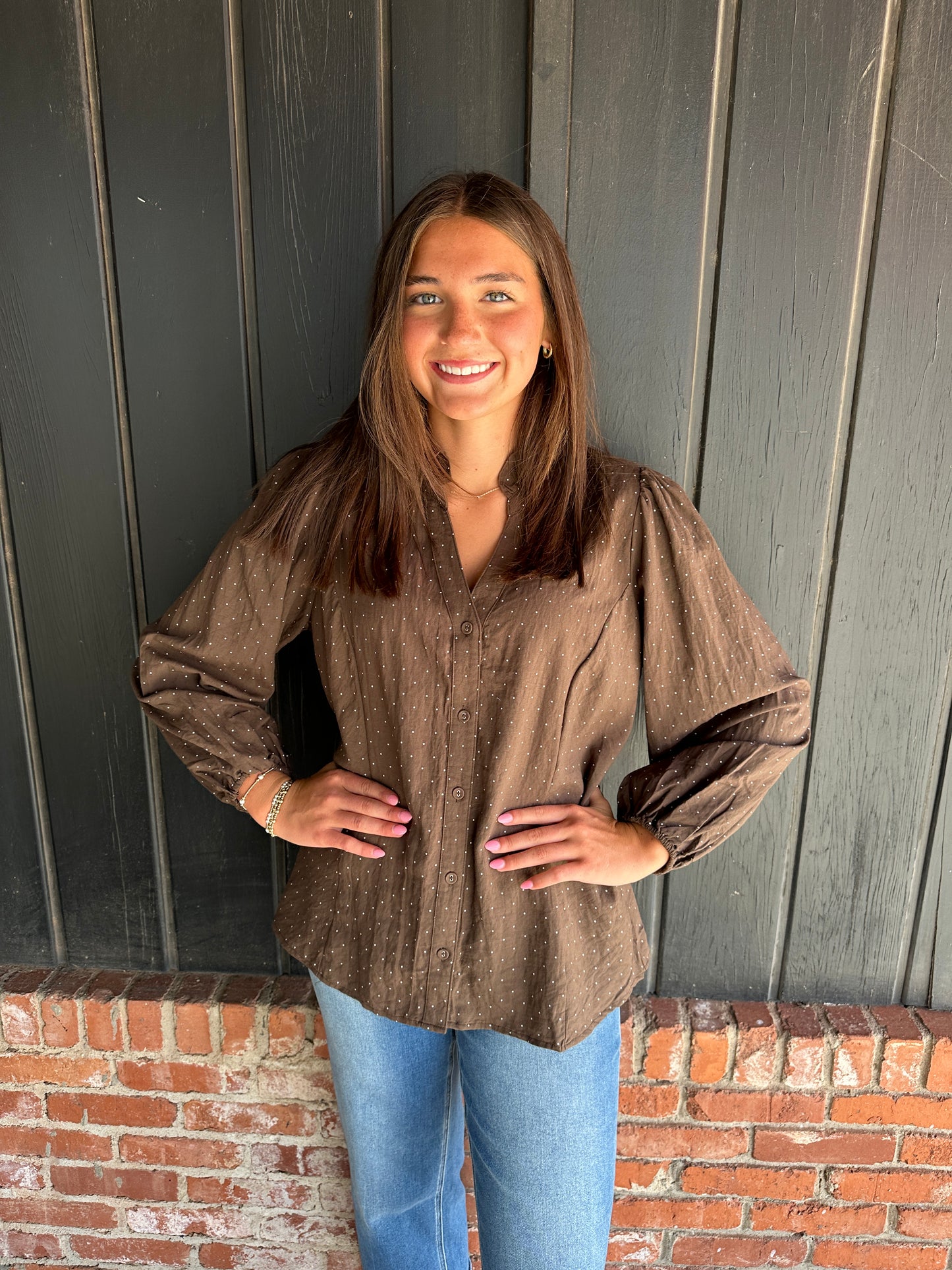 Brown Swiss Dot Ruffle Collar Button-Front Blouse