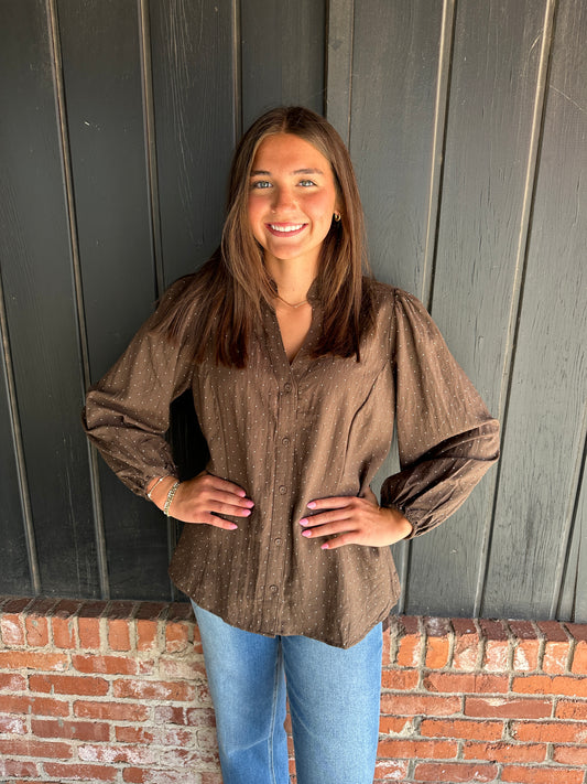 Brown Swiss Dot Ruffle Collar Button-Front Blouse