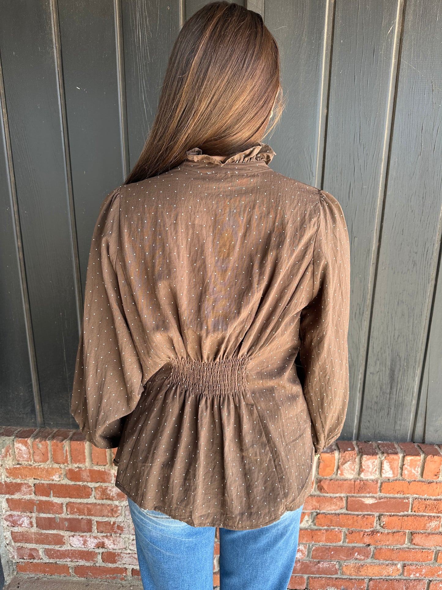 Brown Swiss Dot Ruffle Collar Button-Front Blouse