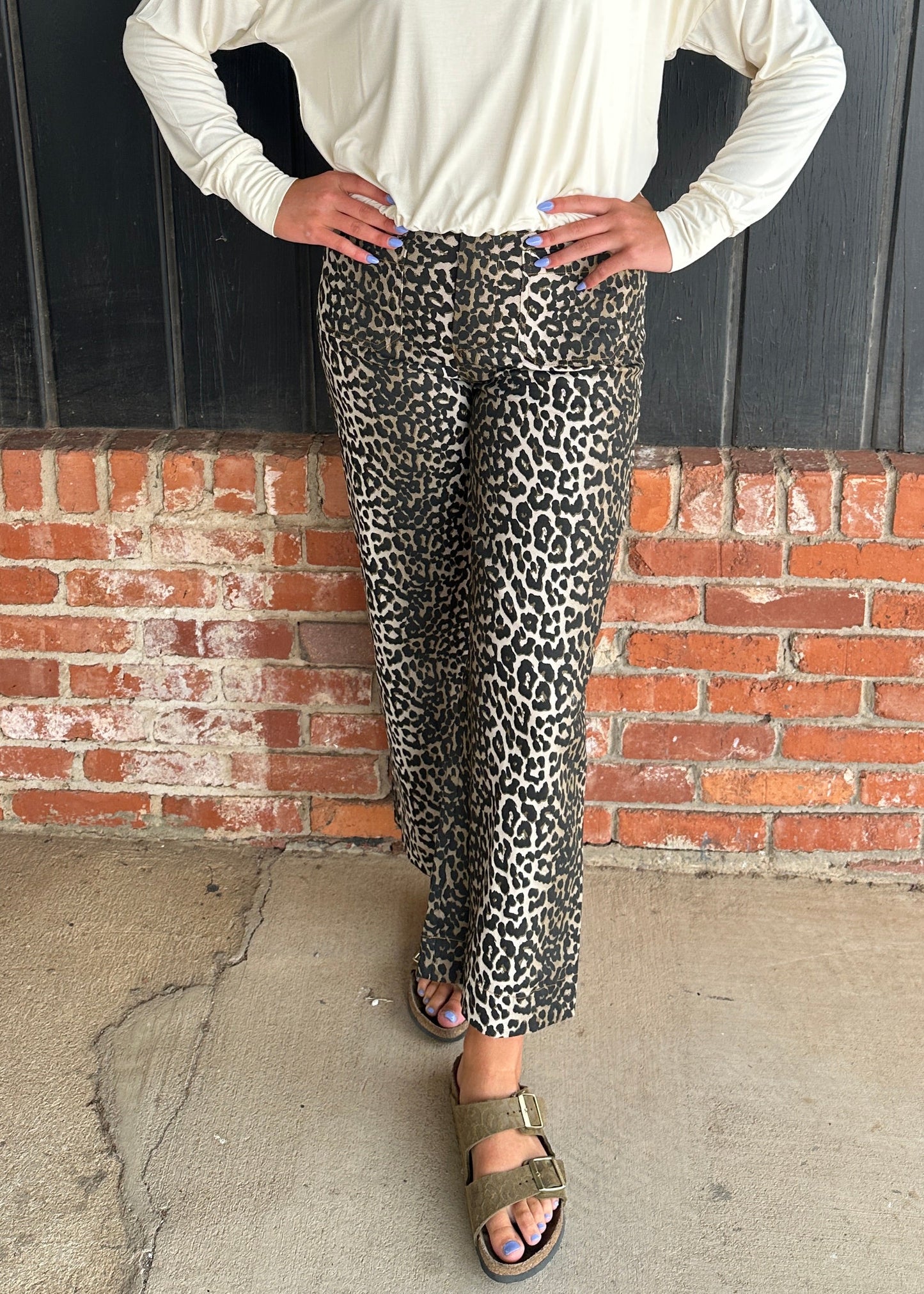 Leopard Print Wide Leg Cropped Pants