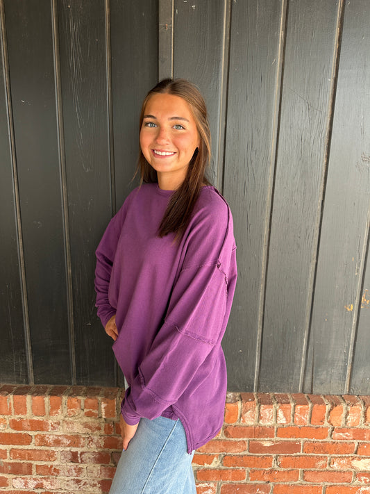 Purple Iris Classic Cotton Oversized Long Sleeve Top