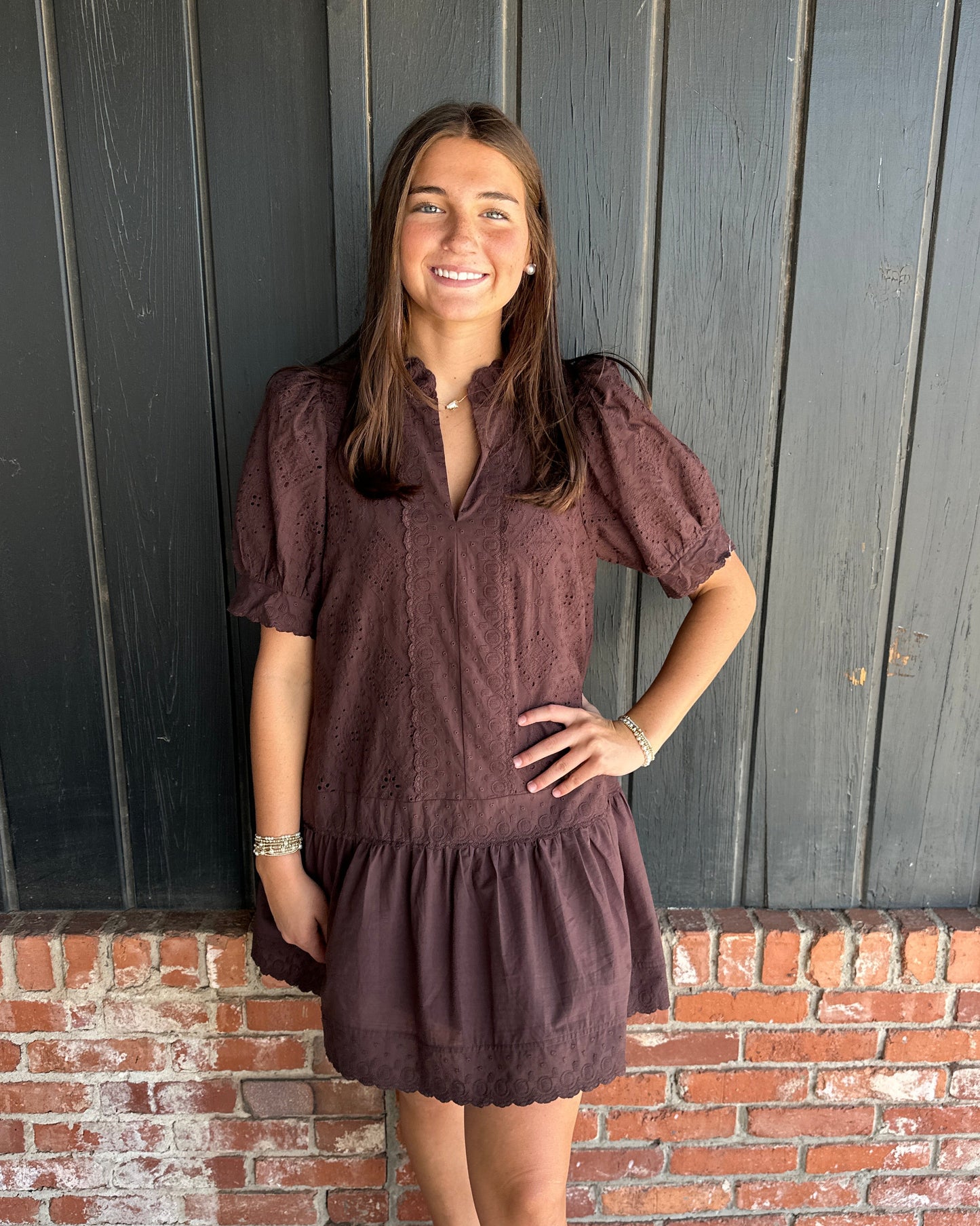 Brown eyelet & embroidery dress
