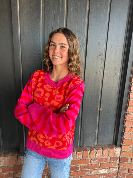 Red and PInk Leopard stripe sweater