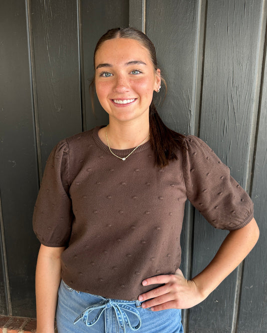 Brown textured short sleeve sweater