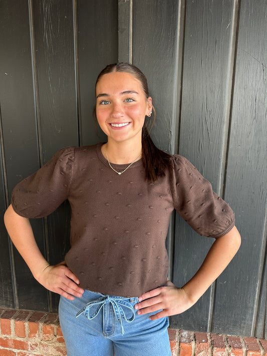 Brown textured short sleeve sweater