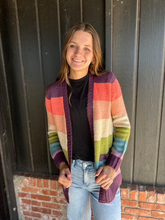 Plum Multi Color Blocked Sweater Cardigan