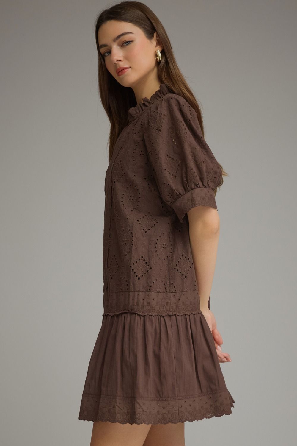 Brown eyelet & embroidery dress