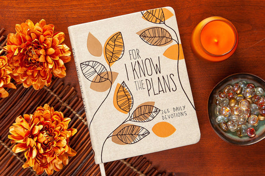 For I Know the Plans Daily Devo Book