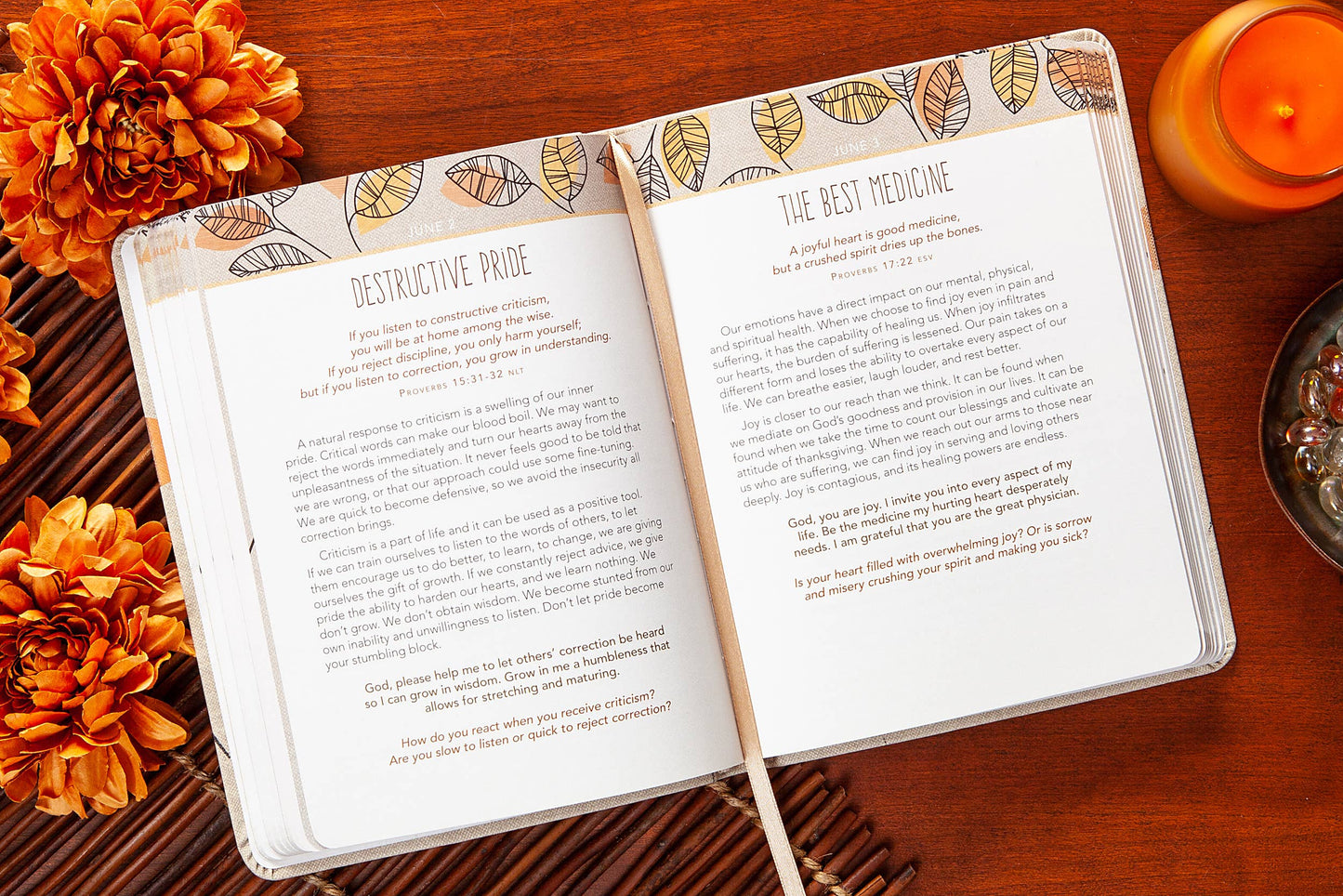 For I Know the Plans Daily Devo Book