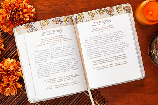 For I Know the Plans Daily Devo Book