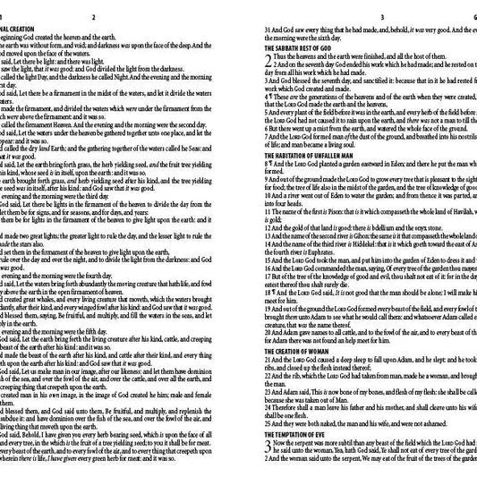 Daily Wisdom For Teen Girls Kjv Devotional Bible